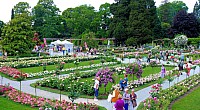 Mainau_18.jpg