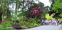 Mainau_25.jpg
