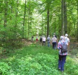 2021-07-Forst-1.JPG