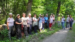 2021-07-Forst-2.JPG