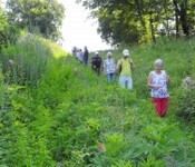 2021-07-Forst-3.JPG
