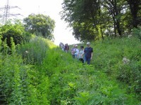 2021-07-Forst-4.JPG
