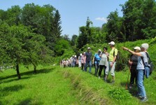 2021-07-Forst-7.JPG