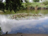 DSCN0078.JPG